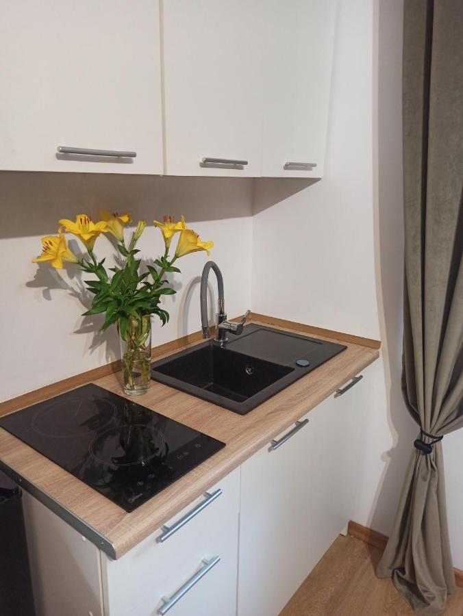 Cztery Katy W Rynku Apartment Walbrzych Luaran gambar